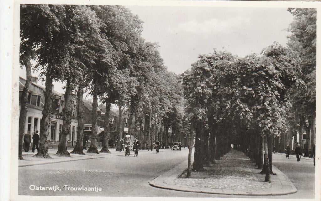 oisterwijk- trouwlaantje, Ophalen of Verzenden, 1940 tot 1960, Noord-Brabant