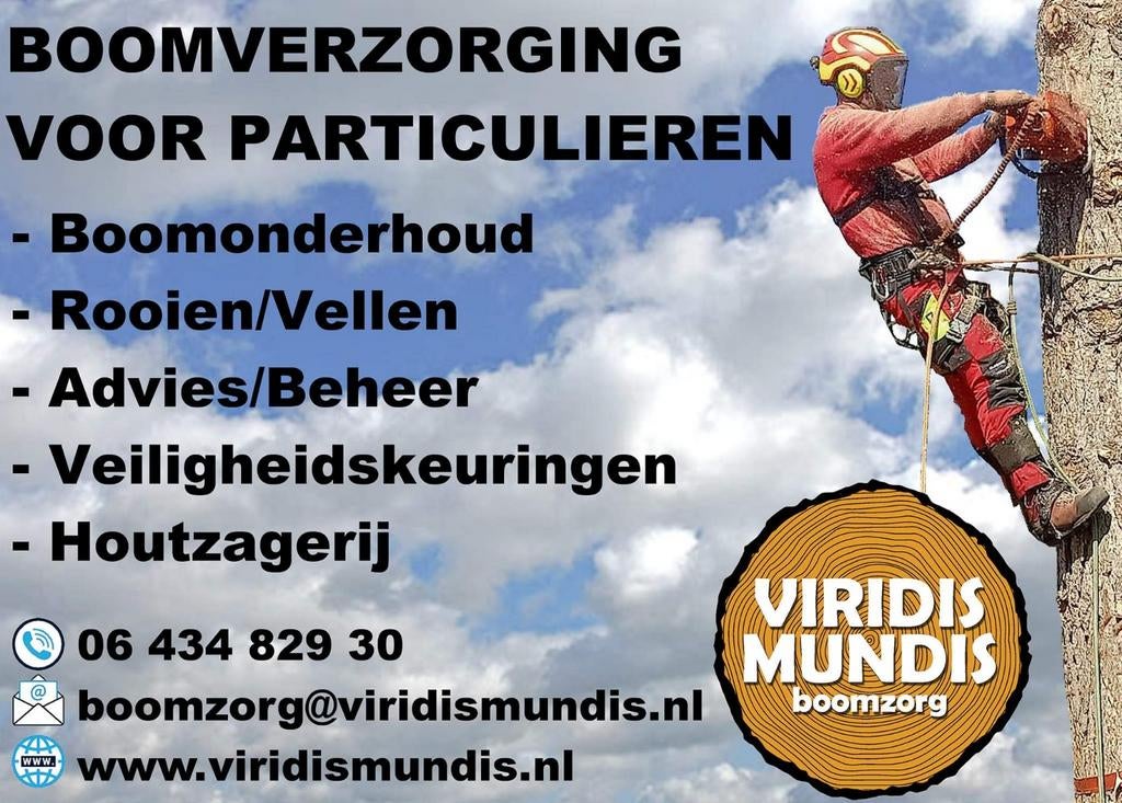 Advies/kappen/rooien/snoeien, Diensten en Vakmensen, Tuinmannen en Stratenmakers