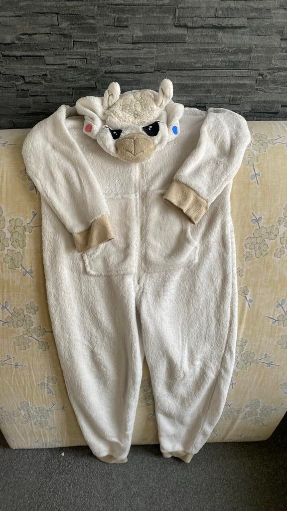 Slaap pyjama maat 134/140, Kinderen en Baby's, Babykleding | Maat 80, Ophalen of Verzenden, Zo goed als nieuw, Jongetje of Meisje