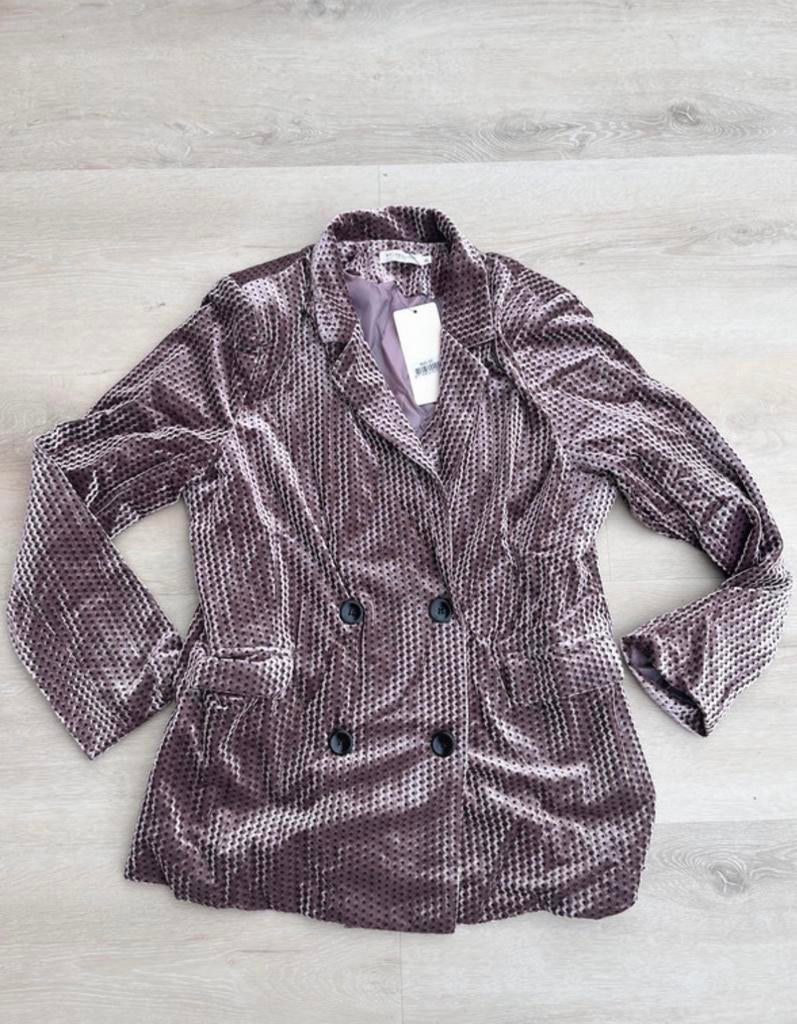 My Jewellery Oud Roze Velvet Blazer - XL, Kleding | Dames, Maat 46/48 (XL) of groter, Nieuw, Ophalen of Verzenden, Jasje