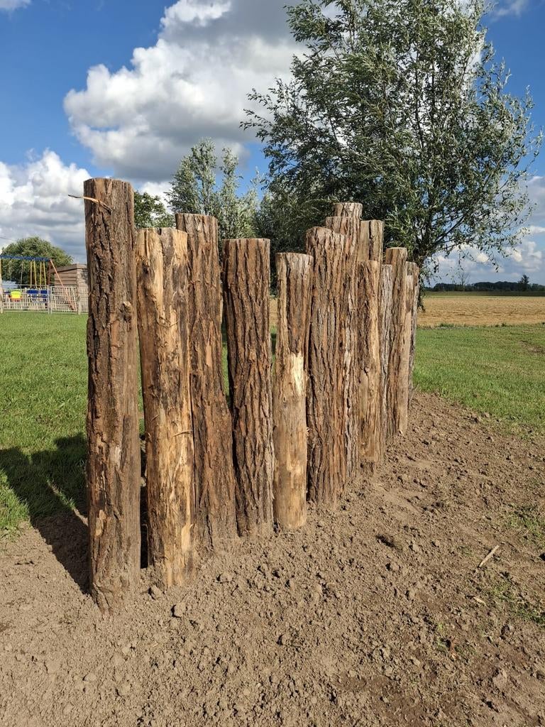 Robinia hardhouten  palen  schaduwpalen  border hoekpalen, Ophalen, Nieuw, Hout