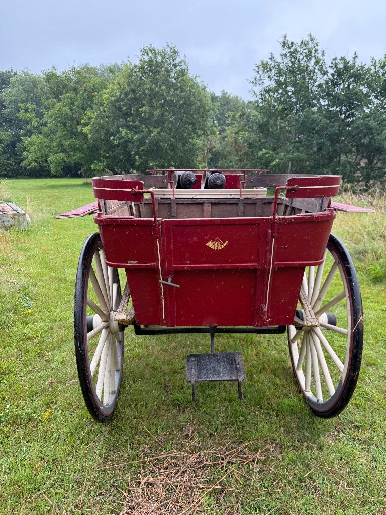 Menwagen, rijtuig en een ponywagen, Dieren en Toebehoren, Rijtuigen en Koetsen, Gebruikt, Marathonwagen, Paard