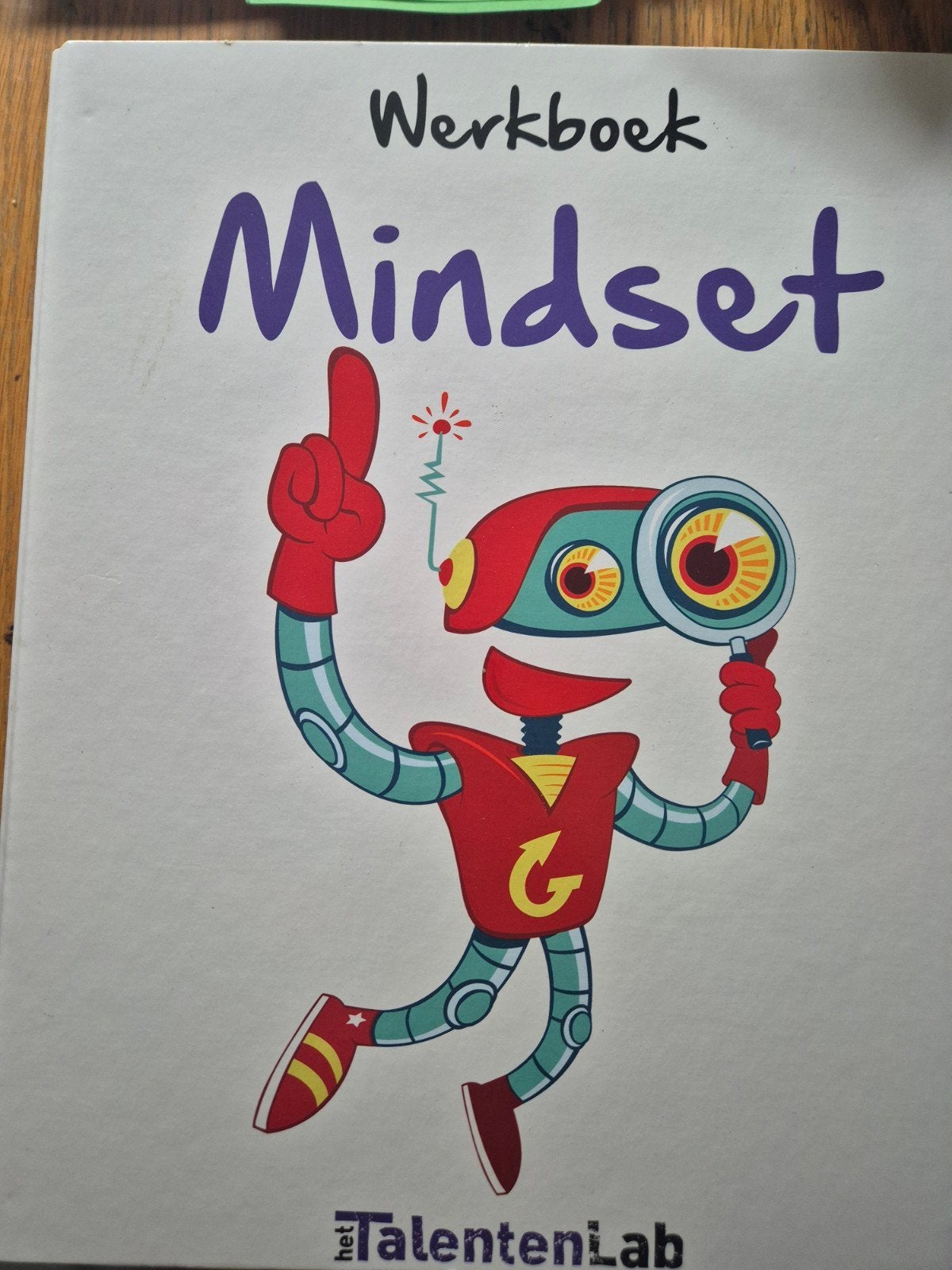 Handleiding Werkboek Mindset voor begeleiders, leerkrachten, Ophalen of Verzenden, Zo goed als nieuw, Gamma, TalentenLab