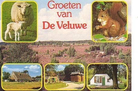 Ansichtkaart 	Veluwe	6-luik	Schapen	Heide, Verzenden, 1980 tot heden, Gelopen, Gelderland