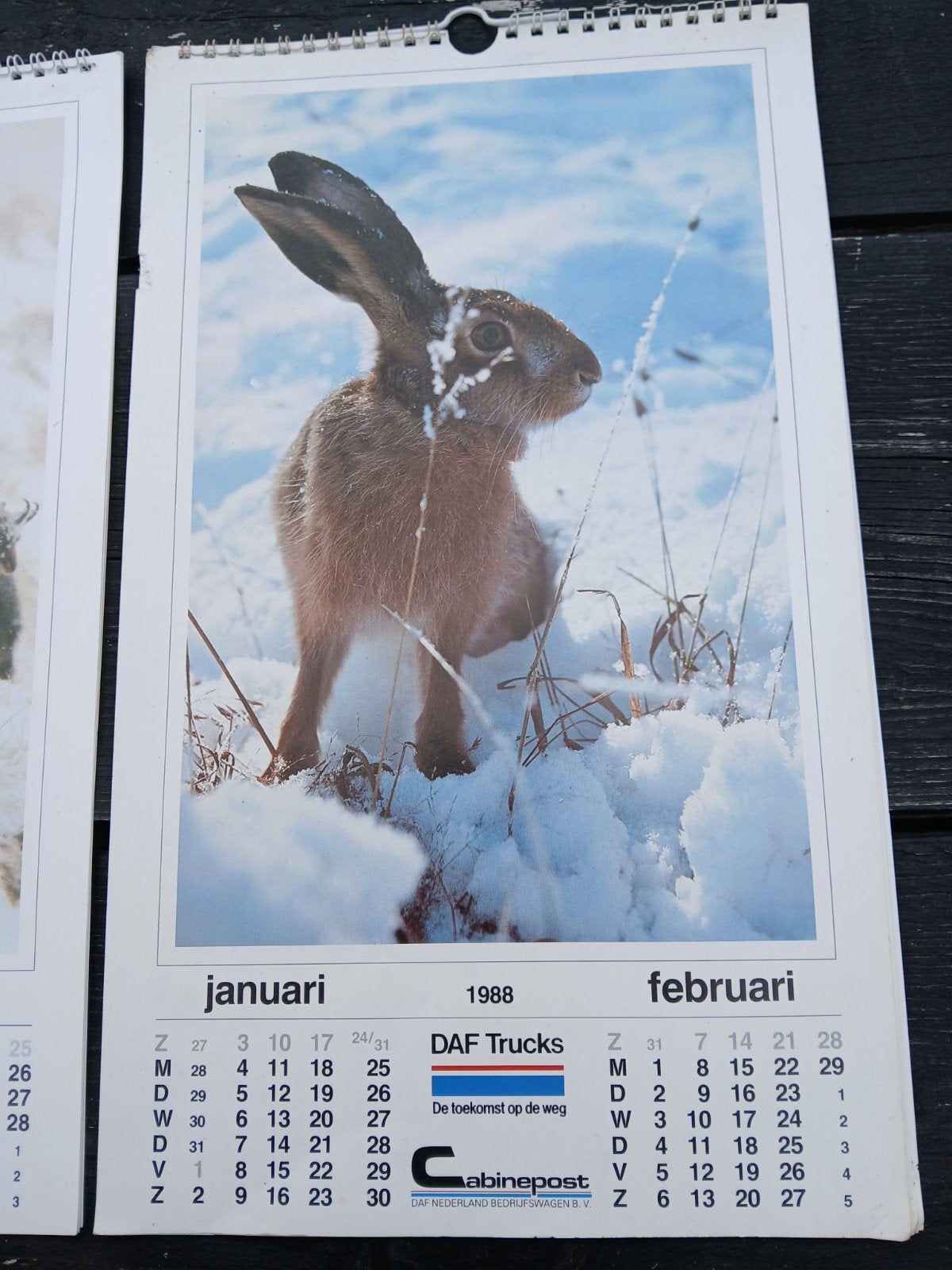 6 x CABINEPOST kalenders uitg. DAF., Ophalen of Verzenden, Maandkalender