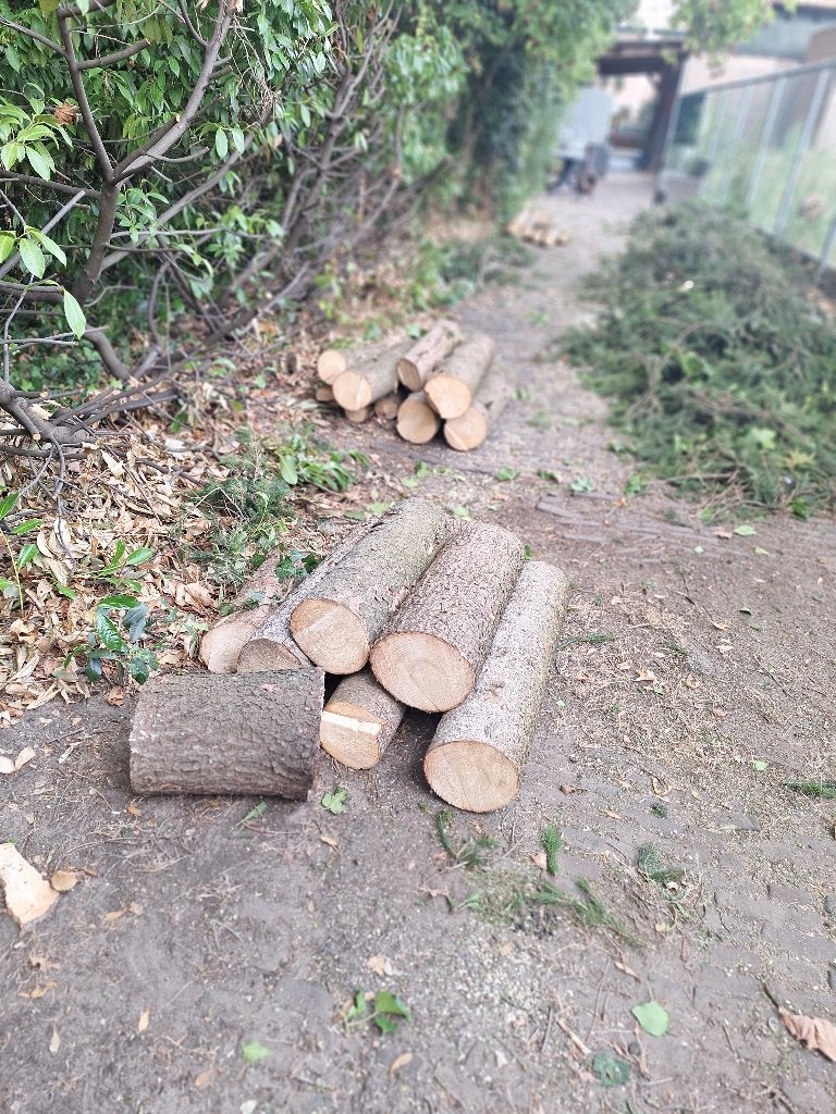 Haard hout, Tuin en Terras, Haardhout, Minder dan 3 m³, Ophalen of Verzenden, Overige houtsoorten, Stammen