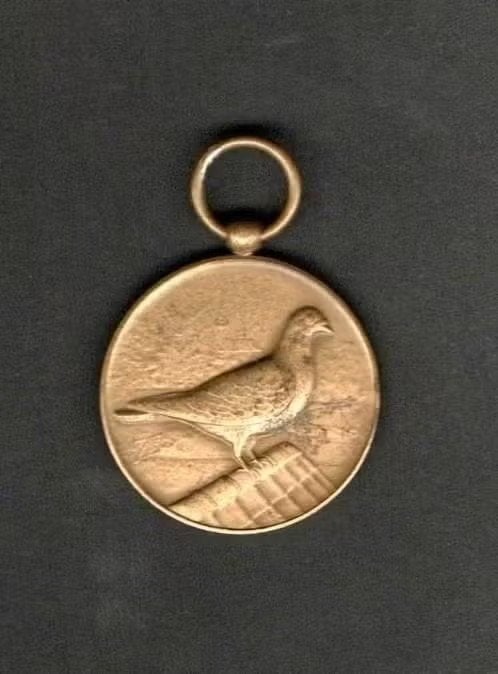 Medaille Duif Duiven 8e Prijs 1955., Ophalen of Verzenden, Zo goed als nieuw