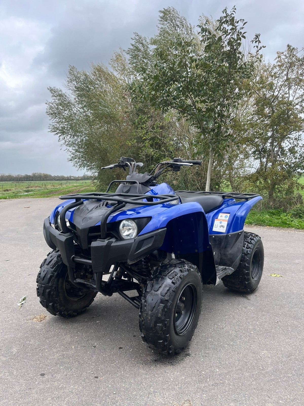 Yamaha grizzly 300 (nieuwstaat)