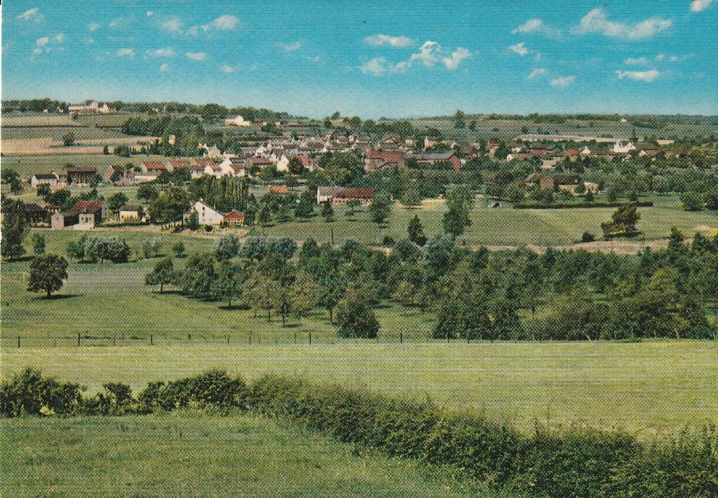 Zuid Limburg Panorama, Ophalen of Verzenden, 1980 tot heden, Ongelopen, Limburg