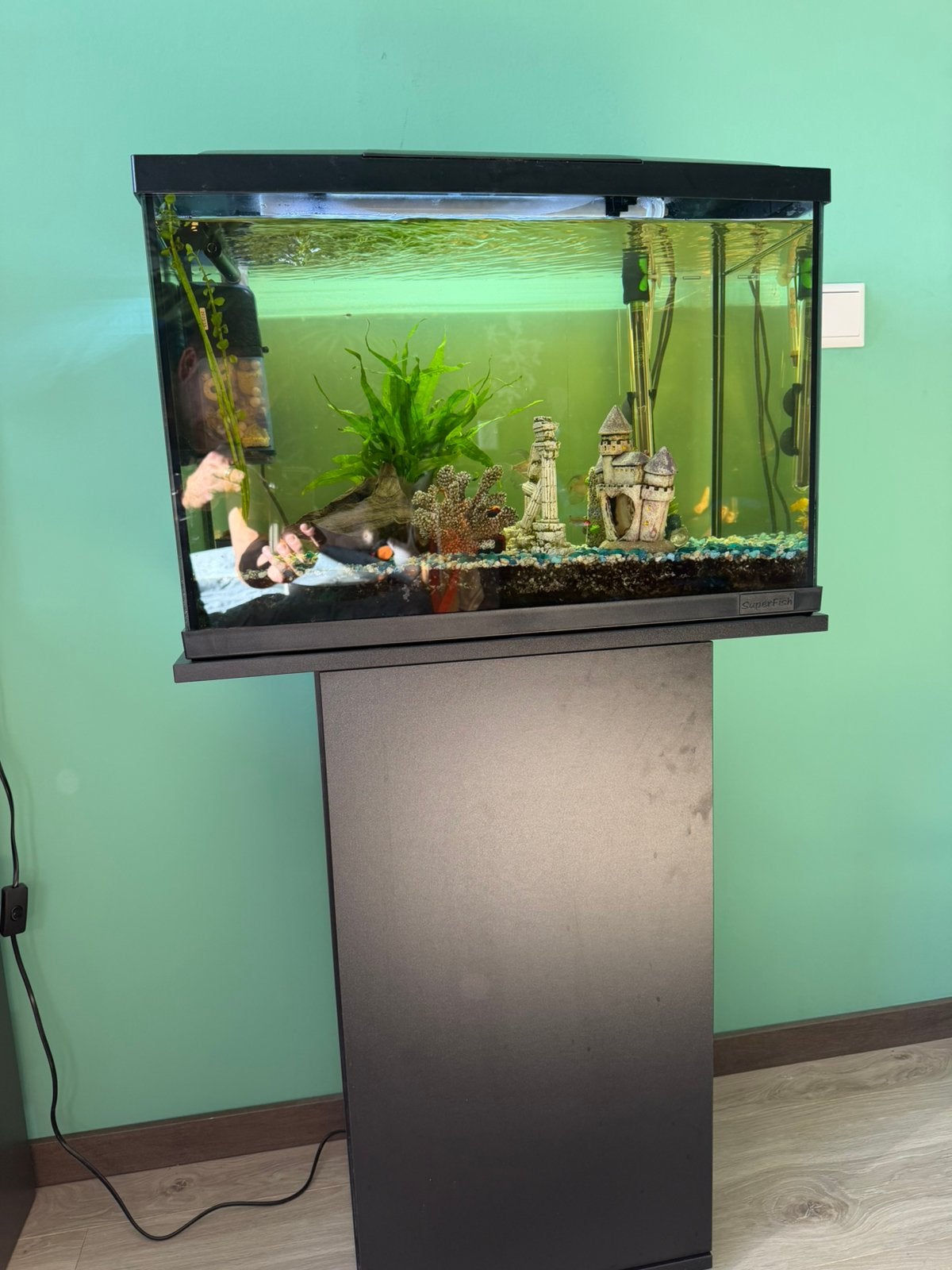 Compleet aquarium met onderkast, vissen en toebehoren, Ophalen, Zo goed als nieuw, Gevuld zoetwateraquarium