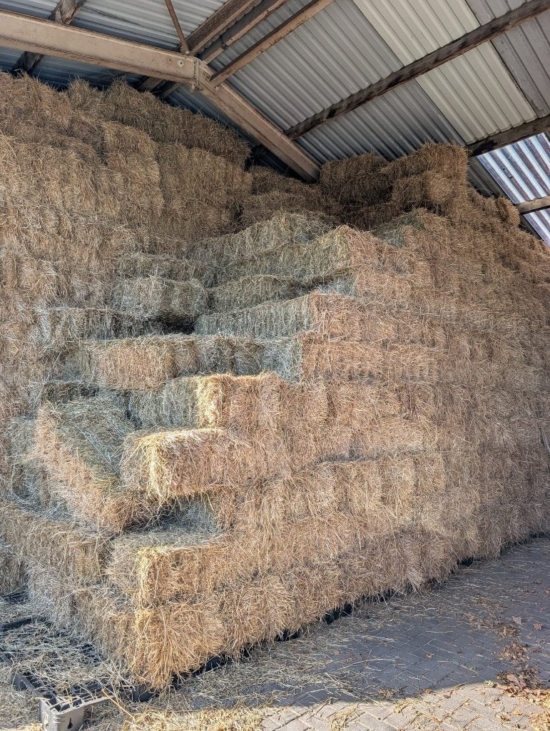 kleine balen hooi suikerarm 4.9%, Dieren en Toebehoren, Ophalen of Verzenden, Vee