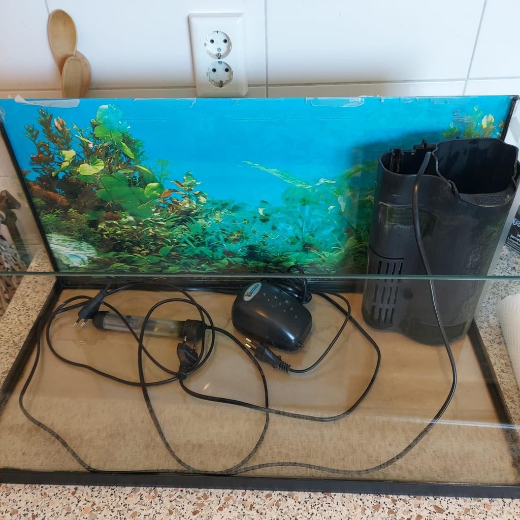 Aquarium met toebehoren zonder vissen, Vis