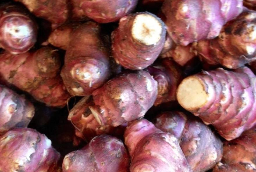 aardpeer Rood - 1euro, Tuin en Terras, Ophalen, Voorjaar, Volle zon, Knol