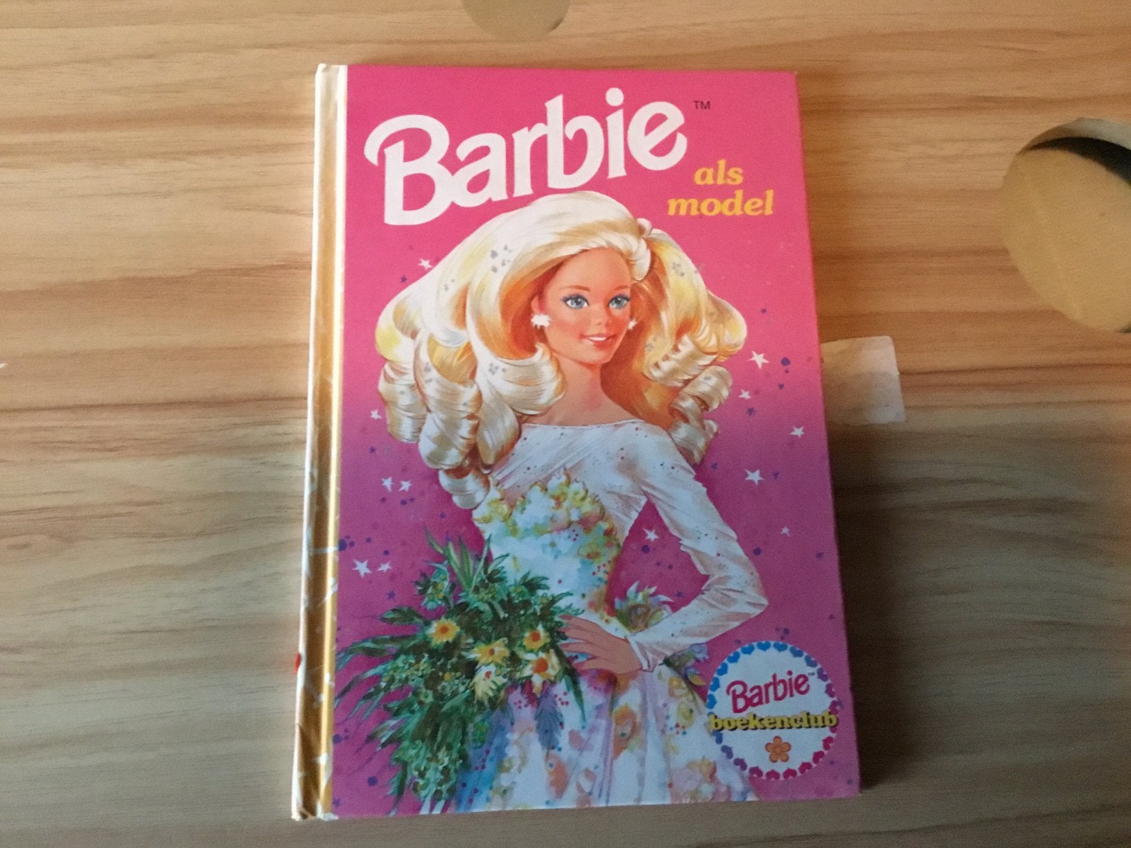 Boek barbie als model, Ophalen of Verzenden, Poppenhuis