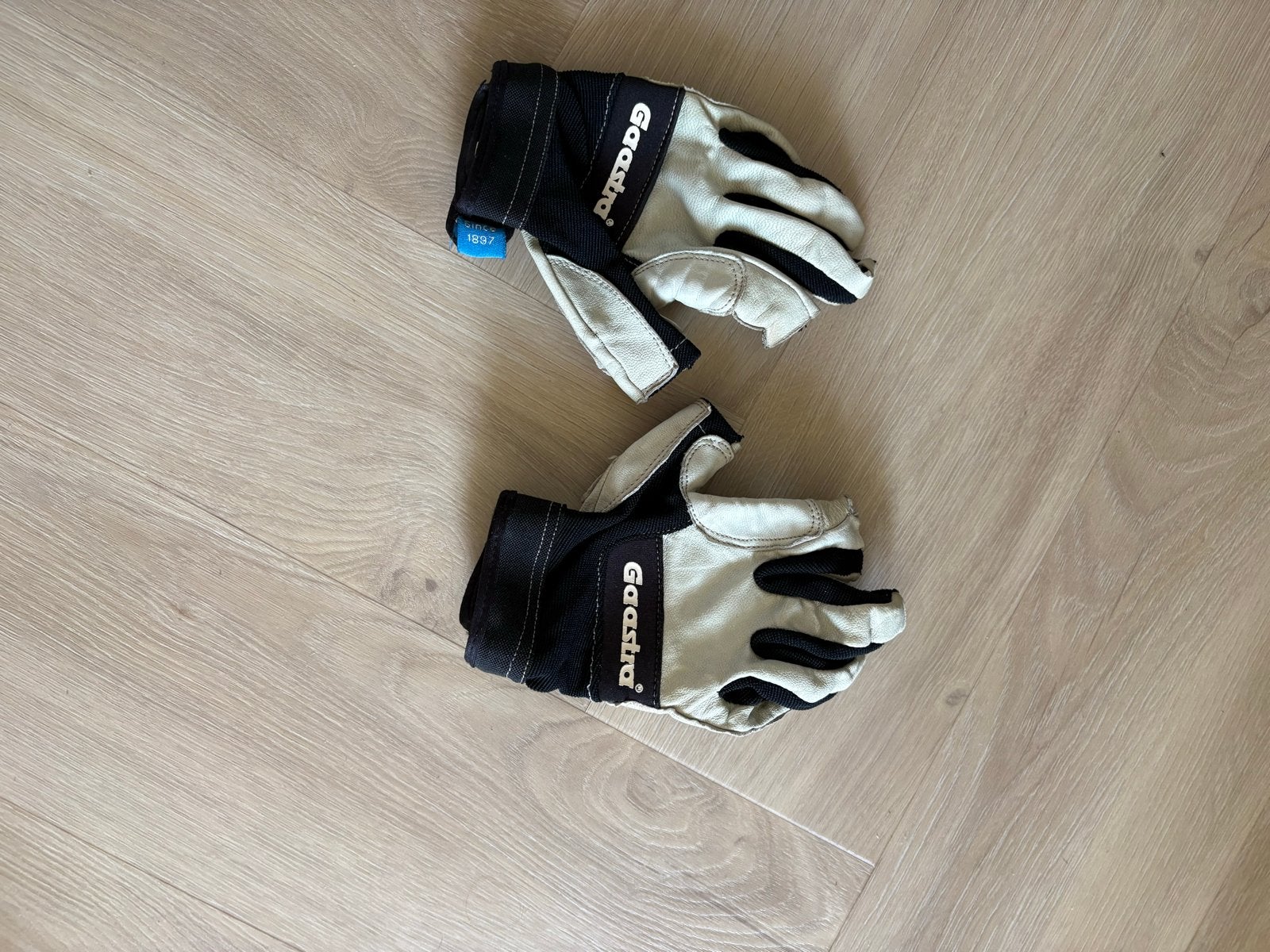 Gaastra zeilhandschoenen maat M, Watersport en Boten, Watersportkleding, Gebruikt, Overige typen, Dame of Heer, Ophalen of Verzenden