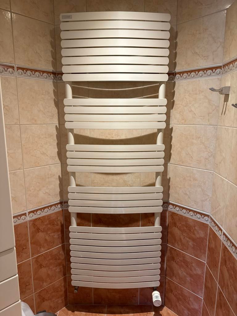 Design Radiator 60x170 - Stijlvol en Efficiënt, Ophalen, Radiator, Zo goed als nieuw, 60 tot 150 cm