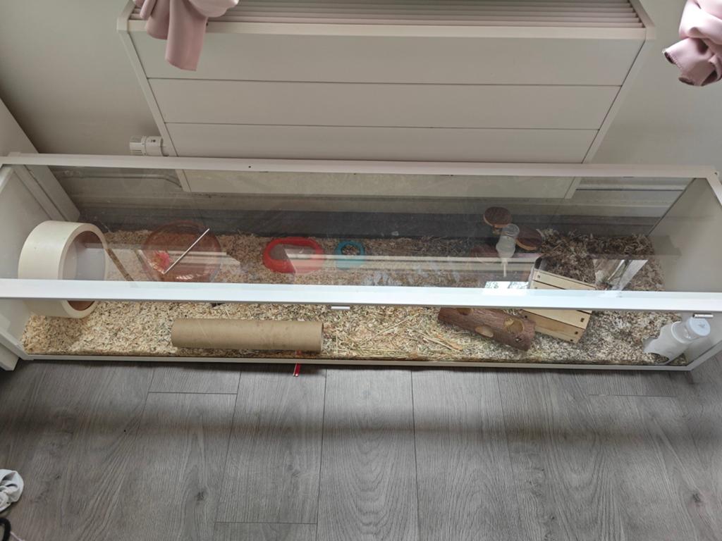 Hamster kooi van glas plus accessoires, Dieren en Toebehoren, Reptielen en Amfibieën | Toebehoren, Zo goed als nieuw, Ophalen