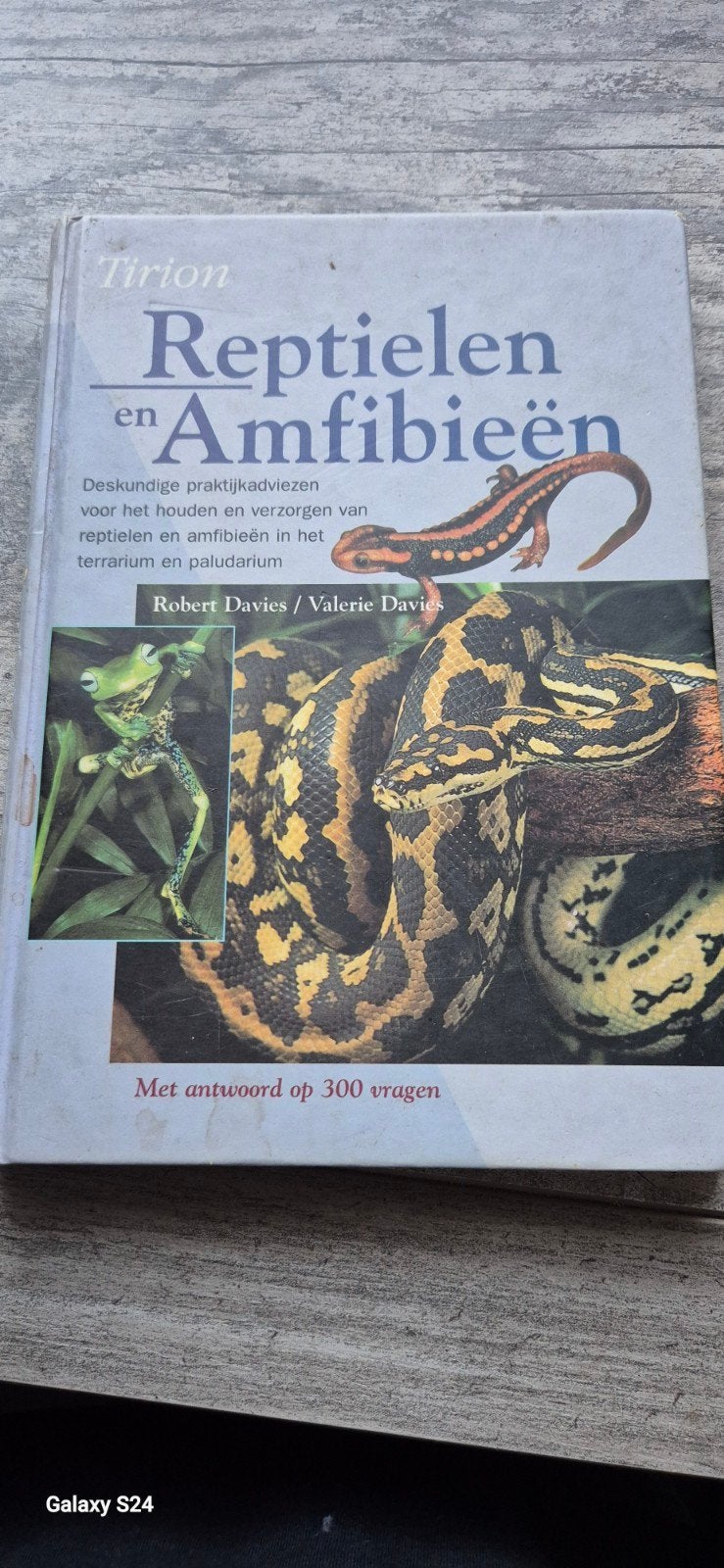 Tirion Reptielen en Amfibieën - Praktijkadviezen, Boeken, Ophalen of Verzenden, Gelezen, Overige onderwerpen, Robert Davies / Valerie Davies
