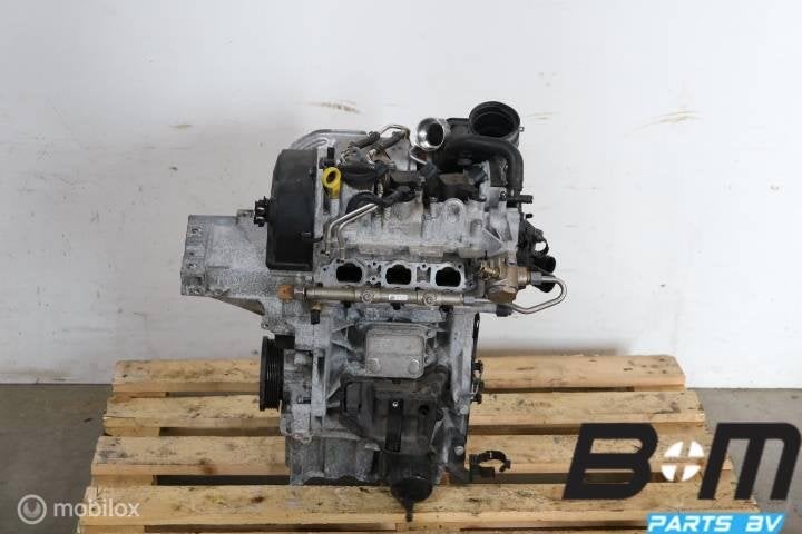 1.0 TSI CHZ motor VW Polo 2G 75822km CHZ, Gebruikt