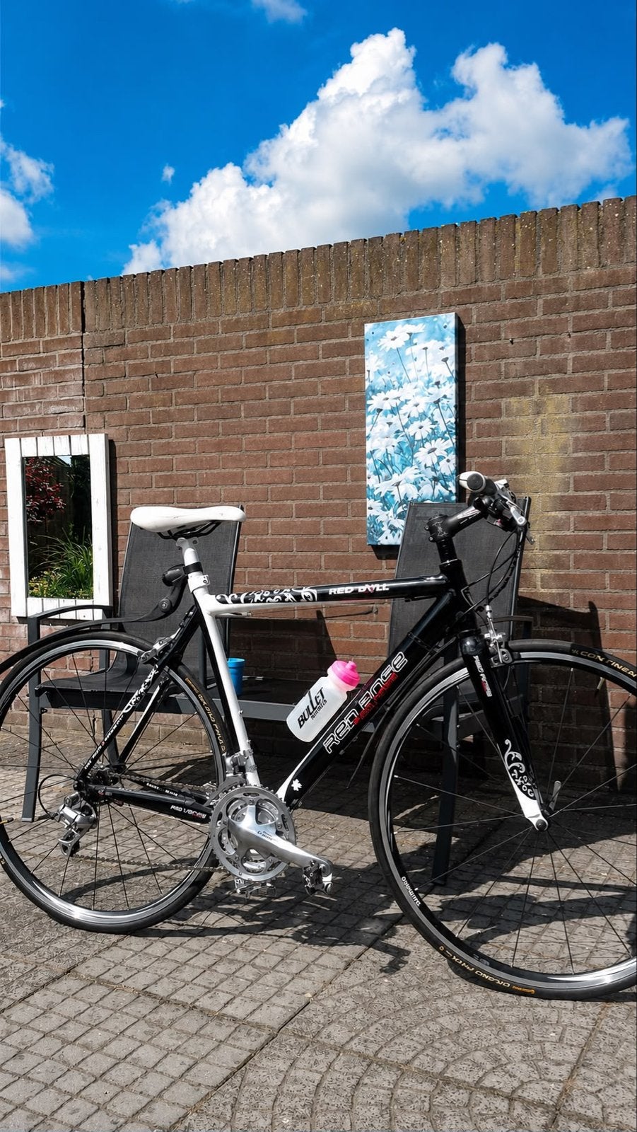 Zo goed als nieuwe Red Bull racefiets carbon met dameskledin, Fietsen en Brommers, Fietsen | Racefietsen, Carbon, Zo goed als nieuw