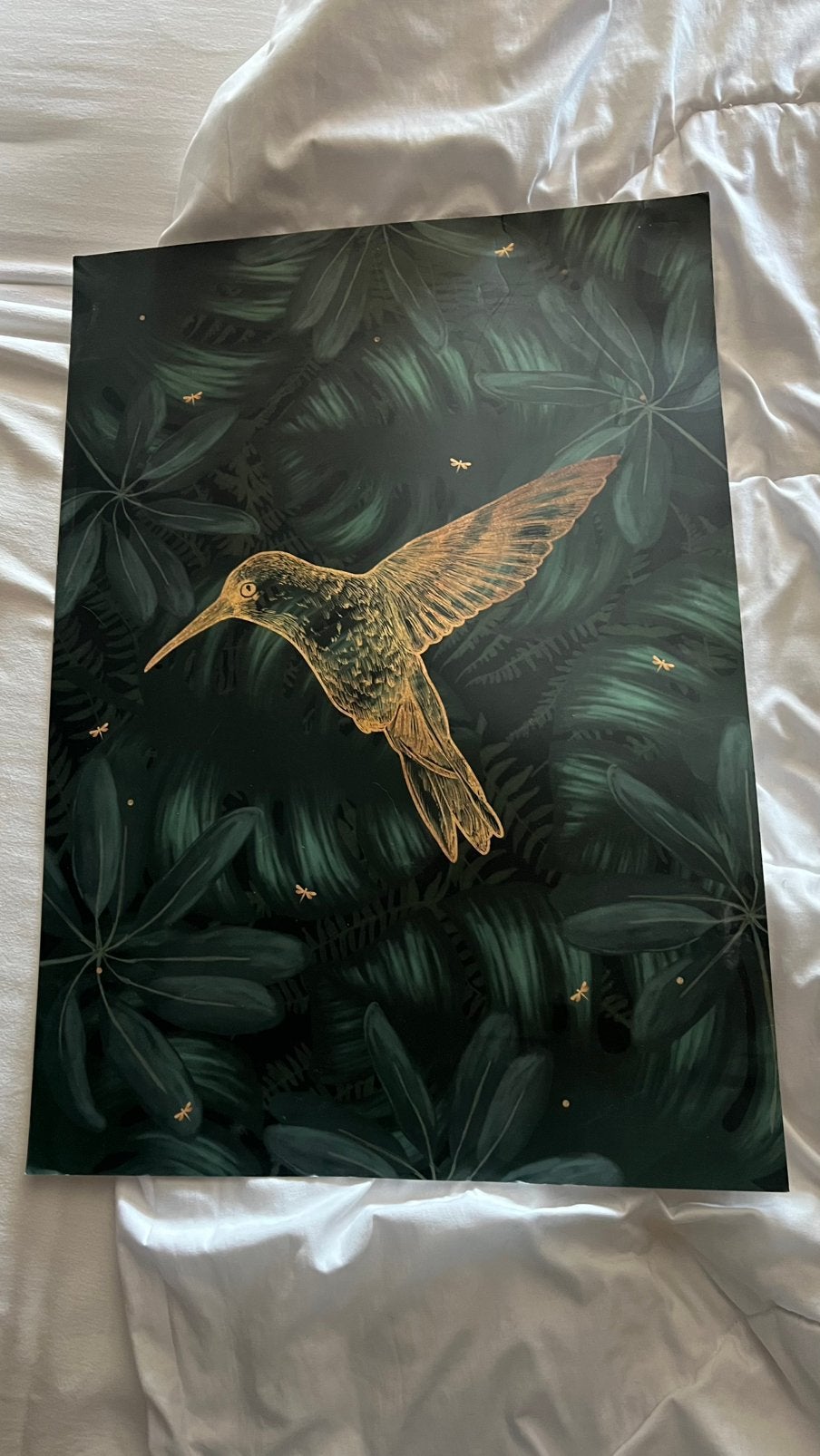 Kolibri poster gekocht bij Loods5, Ophalen