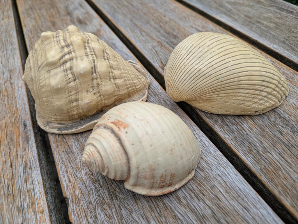Decoratieve Schelpen Set - 3 Stuks, Ophalen of Verzenden