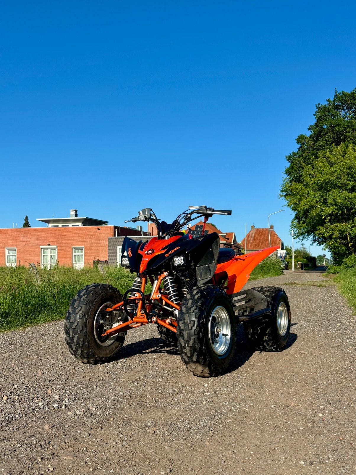 Yamaha Raptor (special edition), Motoren