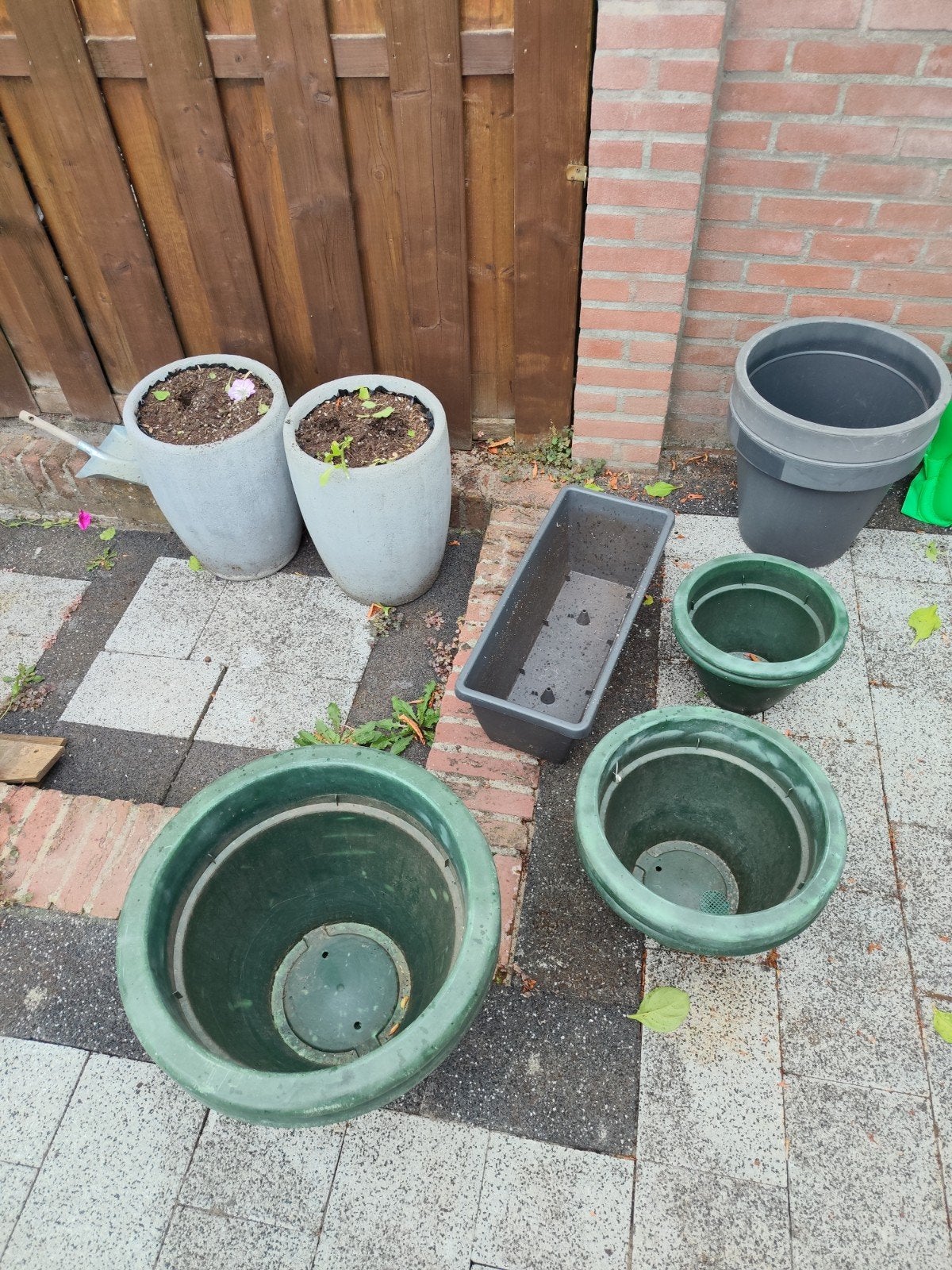 Gratis bloempotten, alles meenemen., Tuin en Terras, Bloempotten, Gebruikt, Kunststof, Minder dan 40 cm, 25 tot 40 cm, Rond, Ophalen