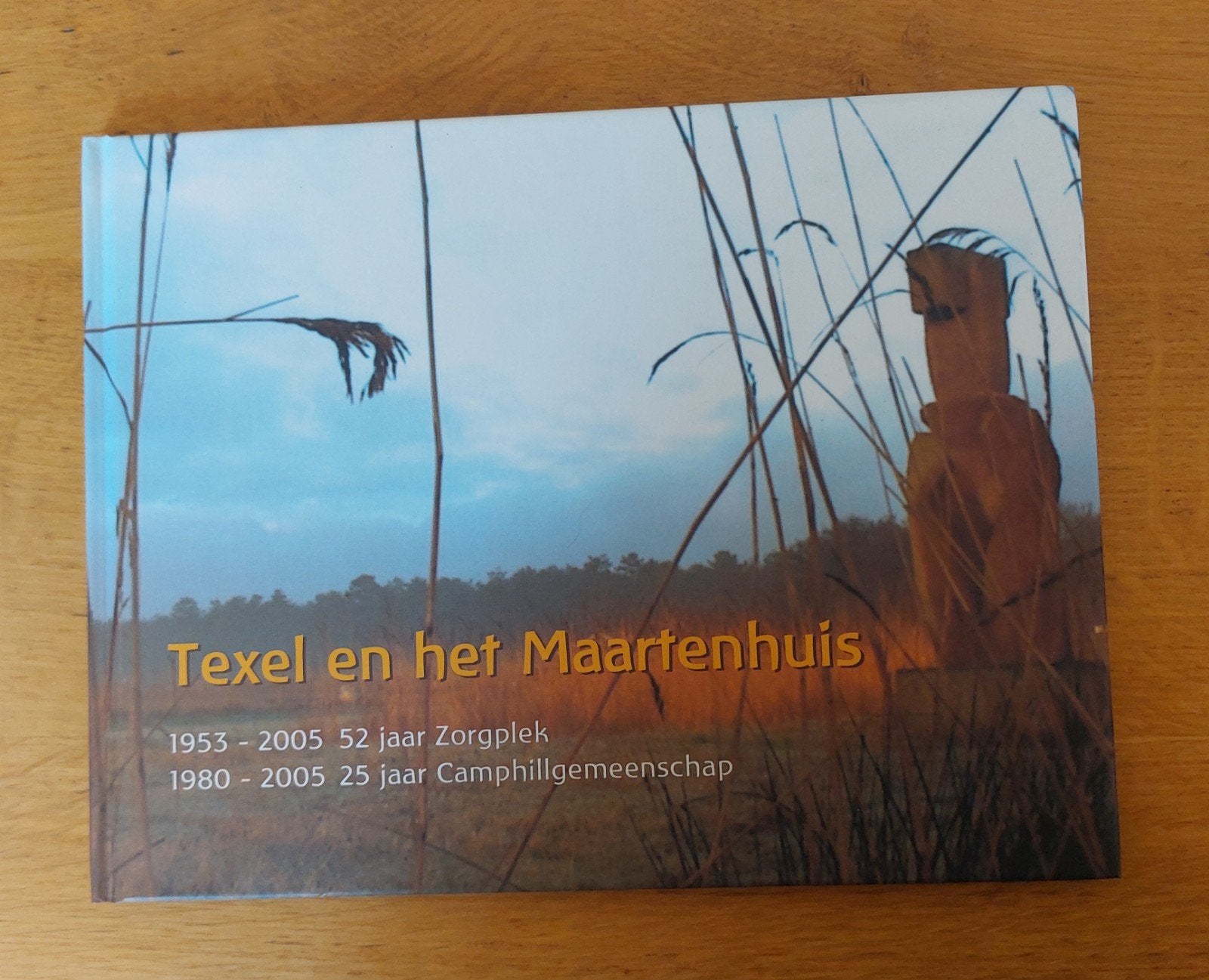Texel en het Maartenhuis, Camphill, Boeken, Ophalen of Verzenden, 20e eeuw of later, Nieuw