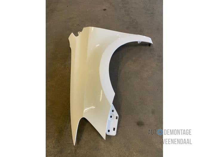 Scherm links-voor van een Volkswagen Polo (LB9A), -, Volkswagen, -, Nieuw