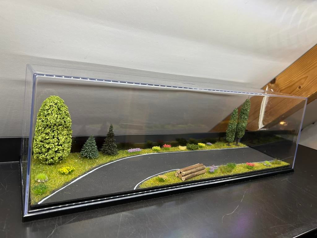 Stolp vitrine met diorama (51cm), Hobby en Vrije tijd, Modelauto's | 1:50, Ophalen of Verzenden, Nieuw, Overige typen, Overige merken