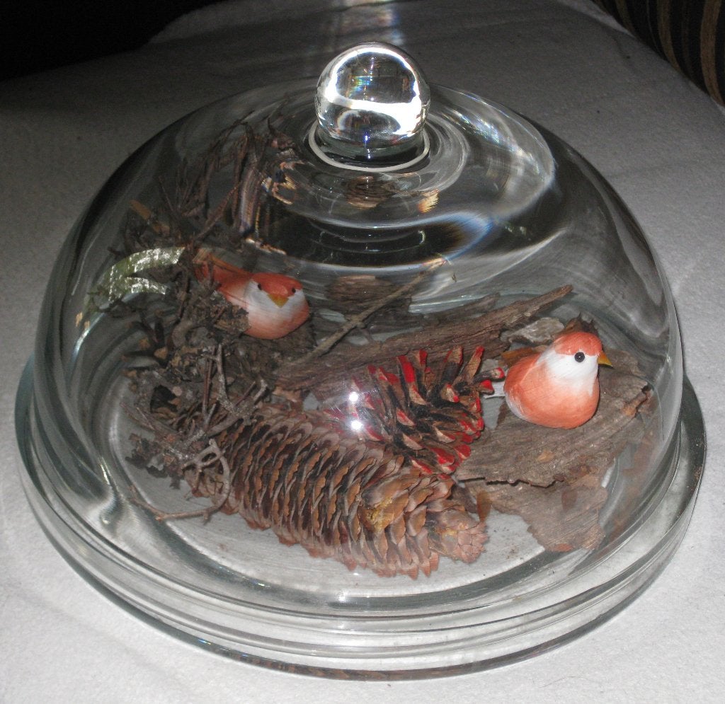 Stolp Glas Met Vogels, Ophalen, Zo goed als nieuw, Met deksel