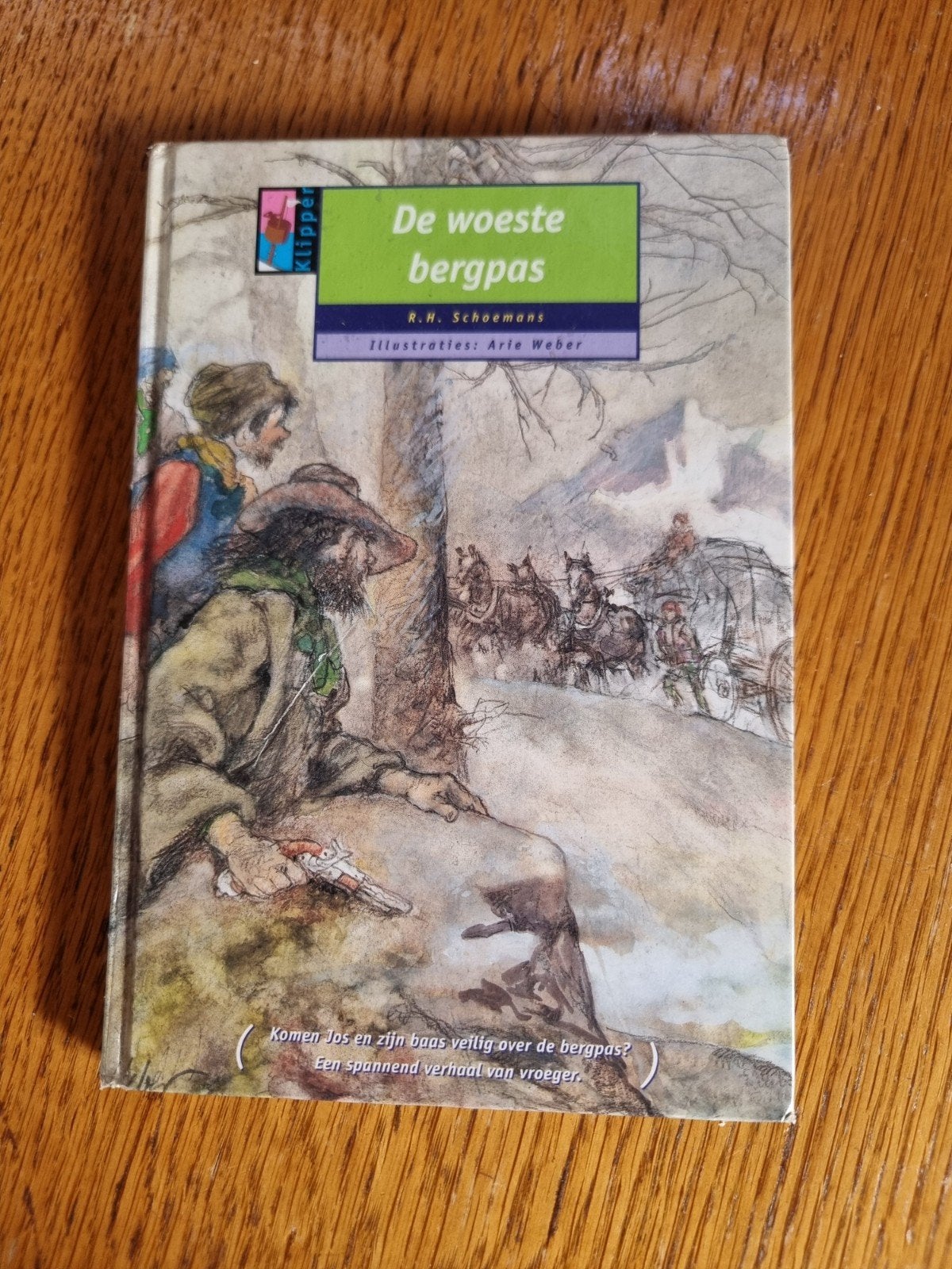 R.H. Schoemans - De woeste bergpas, R.H. Schoemans, Ophalen of Verzenden, Zo goed als nieuw, Nederlands