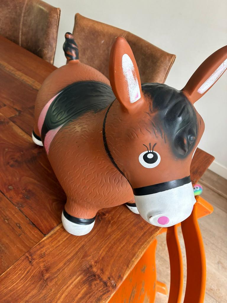 Skippy ezel, Kinderen en Baby's, Speelgoed | Hobbelfiguren, Ophalen of Verzenden, Gebruikt