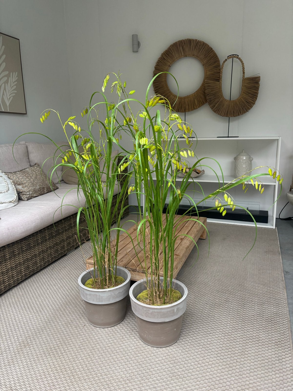 2 x NIEUWE Kunstplant gras op kluit met mos - 120 cm, Huis en Inrichting, Binnen, Groen, Kunstplant, Silk-ka