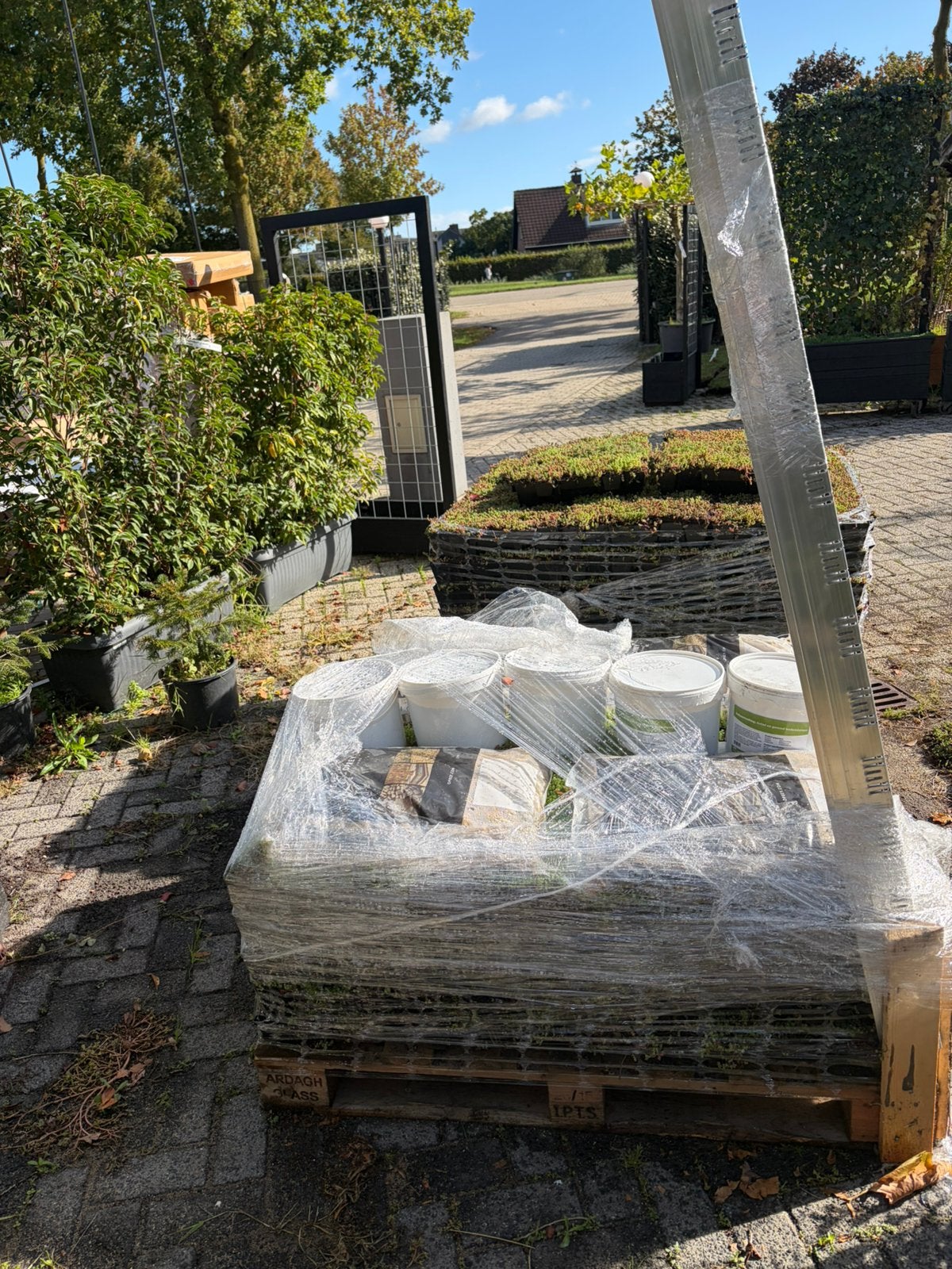 Sedum cassettes licht gewicht met alles wat je nodig hebt, Ophalen of Verzenden, Zomer, Volle zon, Overige soorten