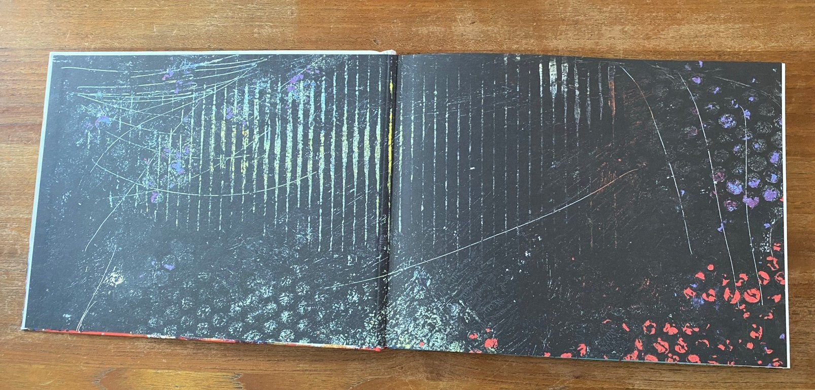 Hoera het is vandaag - Wouter Stips, kunst,  gedichten + cd, Boeken, Ophalen of Verzenden, Zo goed als nieuw, Schilder- en Tekenkunst