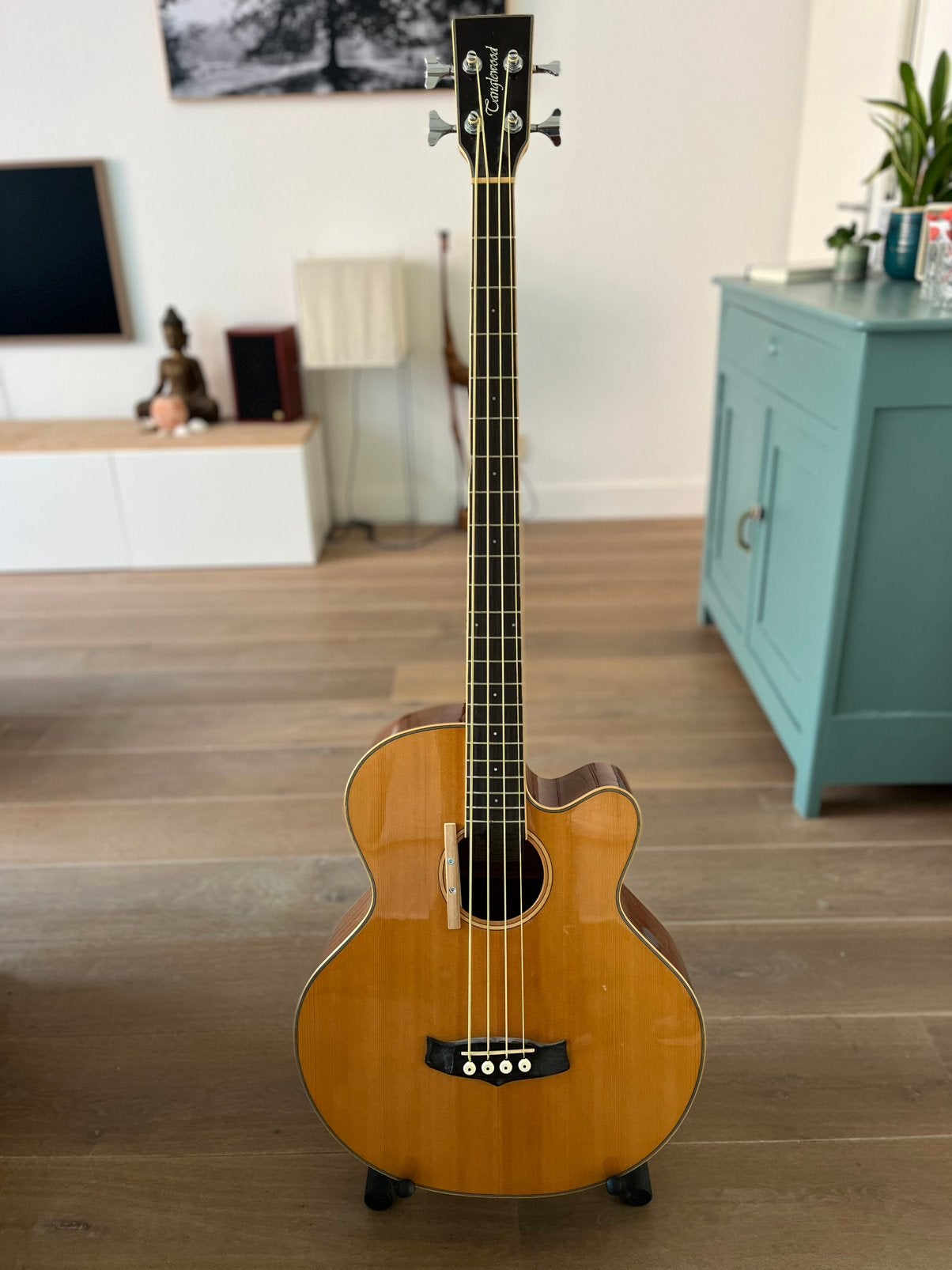 Tanglewood TW8 acoustische bas, Muziek en Instrumenten, Snaarinstrumenten | Gitaren | Akoestisch, Ophalen, Zo goed als nieuw, Overige typen