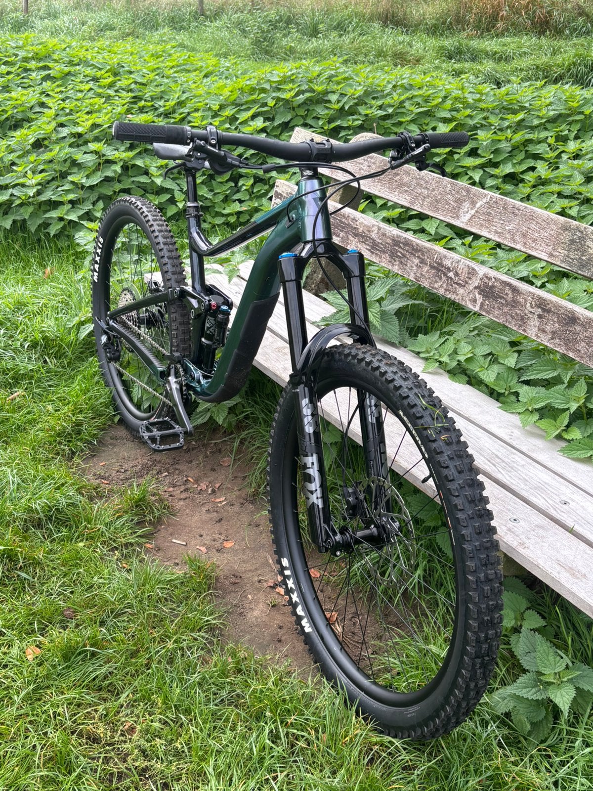 Giant Reign 29er | 2024 | Maat L | FOX suspension, Ophalen, 49 tot 53 cm, Giant, Zo goed als nieuw