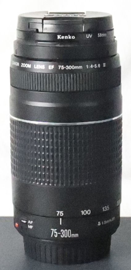Canon EF 75-300mm 1:4-5.6 III, Audio, Tv en Foto, Fotografie | Lenzen en Objectieven, Ophalen of Verzenden, Zo goed als nieuw