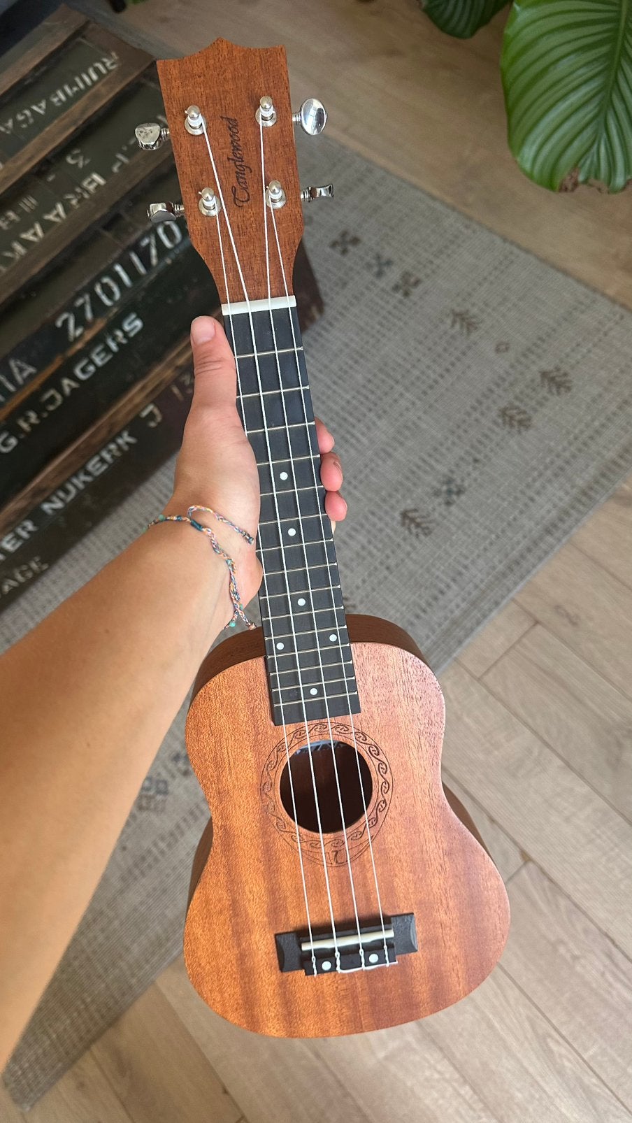 Tanglewood ukelele (sopraan) helemaal nieuw!!, Muziek en Instrumenten, Snaarinstrumenten | Gitaren | Akoestisch, Ophalen of Verzenden