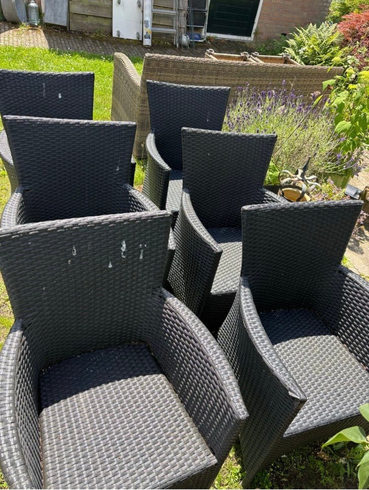6 Wicker tuinstoelen met kussentjes, Tuin en Terras, Tuinstoelen, Ophalen, Gebruikt, Wicker