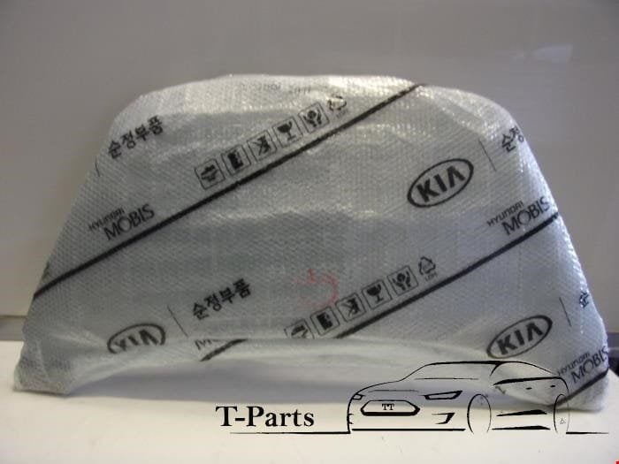 Kia picanto motorkap 664001y010, Kia, Heolleung-ro 12
06797  Seoul, Nieuw, Ophalen of Verzenden