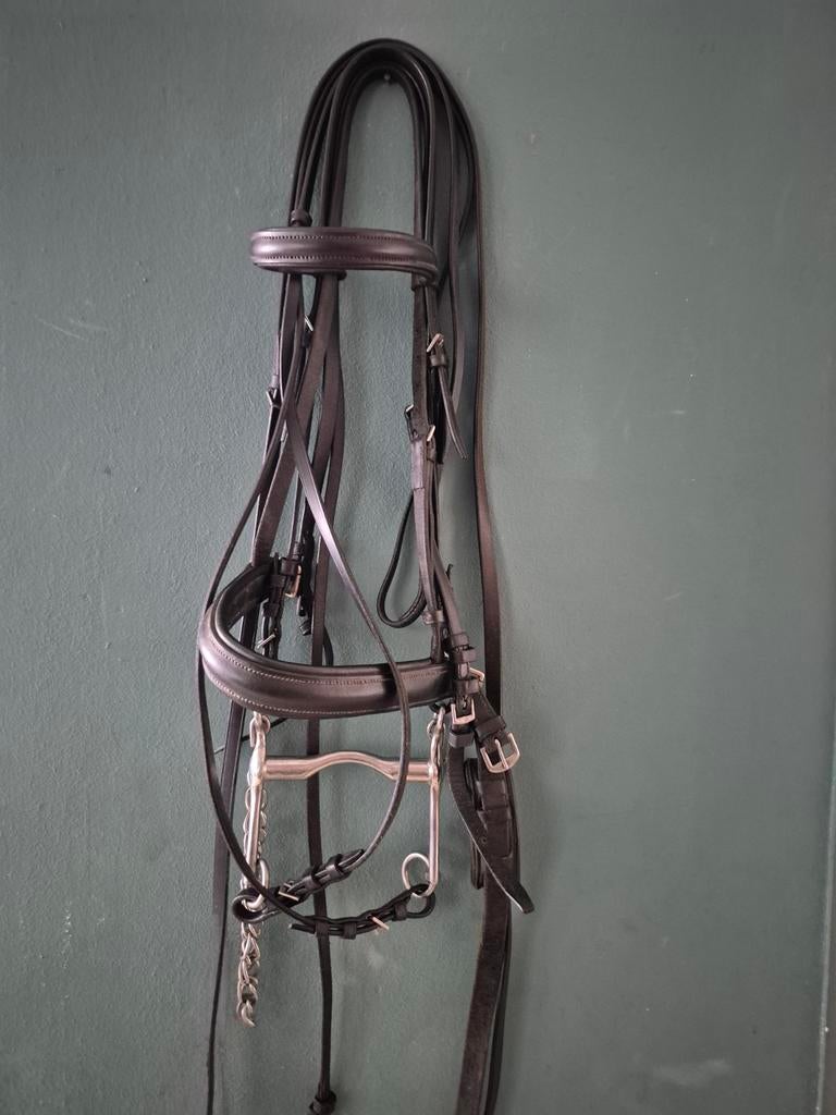 Stang en trens hoofdstel cob/full, Dieren en Toebehoren, Ophalen of Verzenden, Dressuur