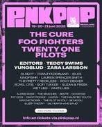 1x Pinkpop ticket voor de zaterdag, Alle leeftijden, Ophalen of Verzenden, Zo goed als nieuw