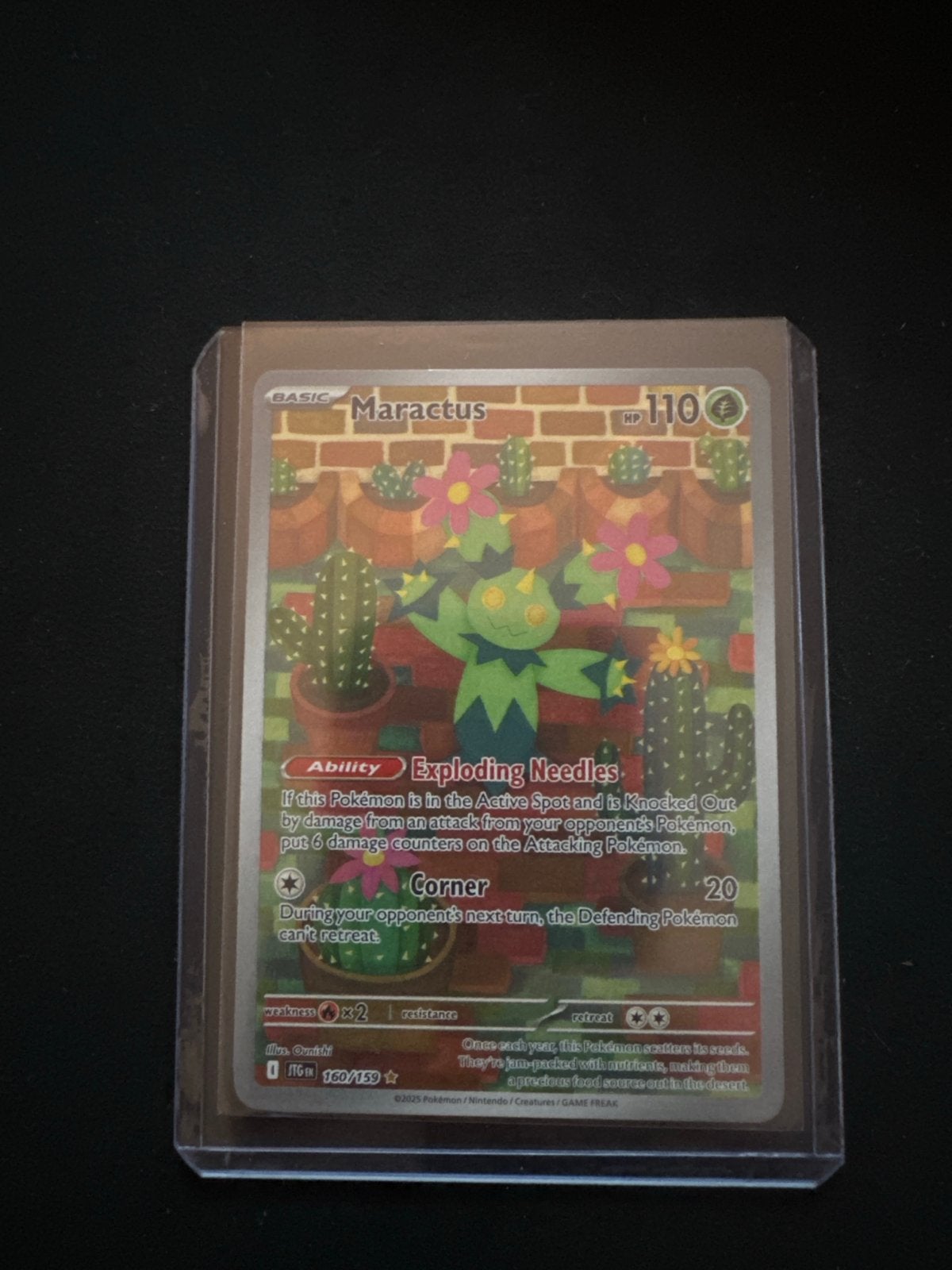Maractus, Ophalen of Verzenden, Zo goed als nieuw, Losse kaart