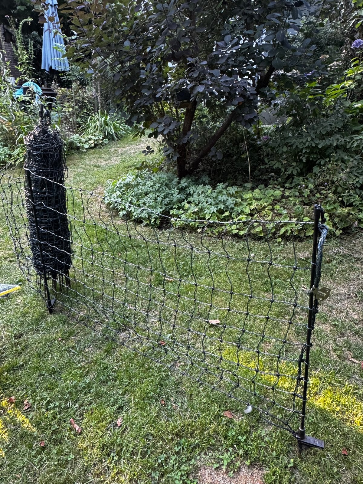 Omheinigsnet, puppy net, 65cm, 2 x15 meter honden net., Ophalen of Verzenden, Zo goed als nieuw, Hondenren