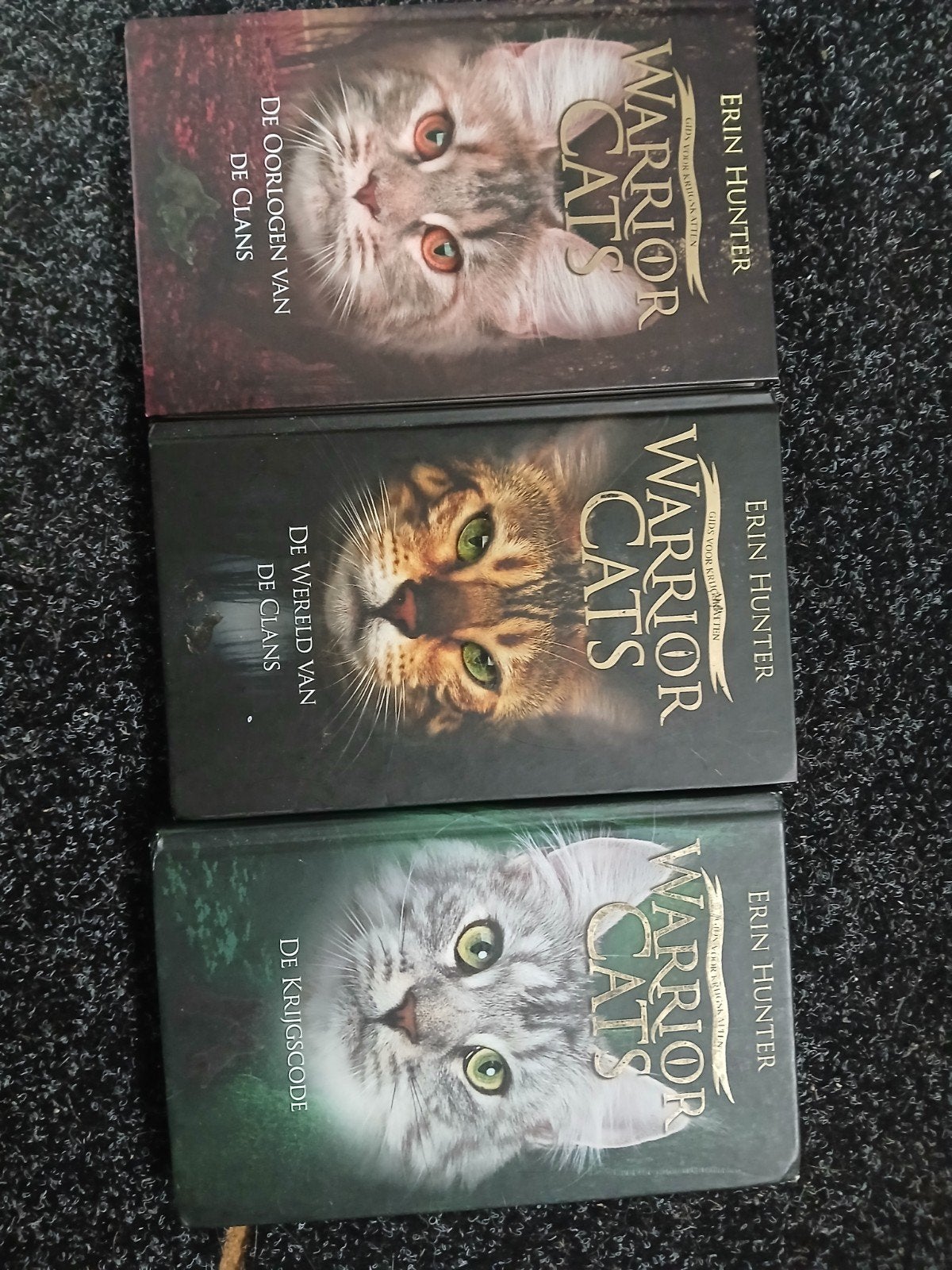 warrior cats, Ophalen of Verzenden, Gelezen, Erin Hunter