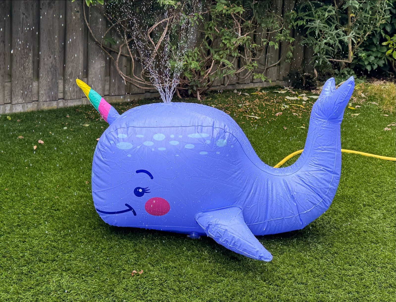 Opblaasbare walvis watersproeier voor kinderen, Ophalen, Zo goed als nieuw