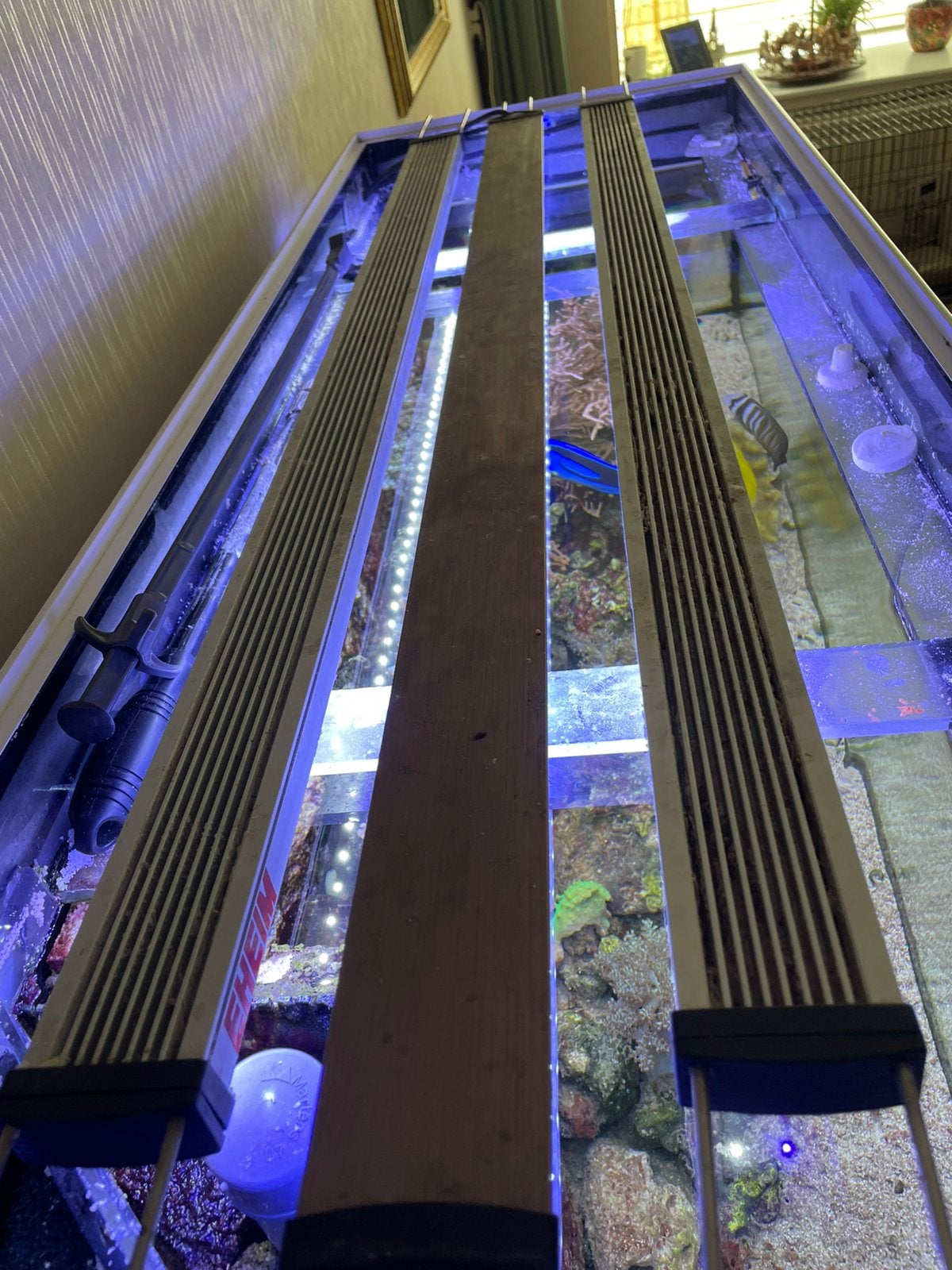 2 Eheim PowerLED+ Marine Hybrid verlichting, Dieren en Toebehoren, Ophalen of Verzenden, Verlichting of Verwarming
